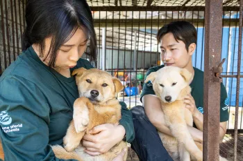 Two Humane World for Animals staff hold dogs at a dog meat farm in Cheongju, South Korea