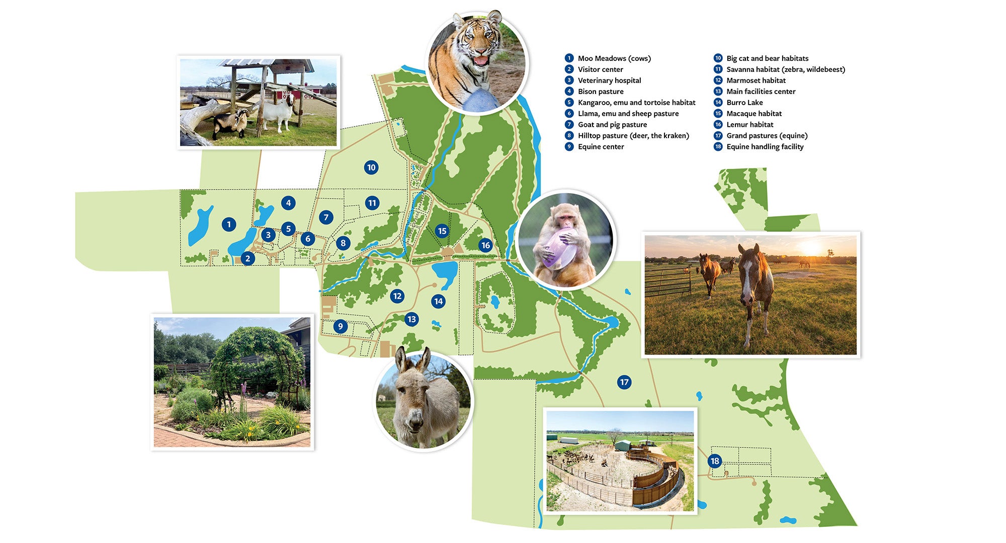 Map of Black Beauty Ranch