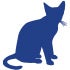 Icon of cat sitting