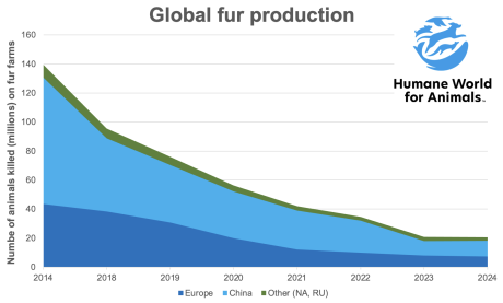 animals killed graph