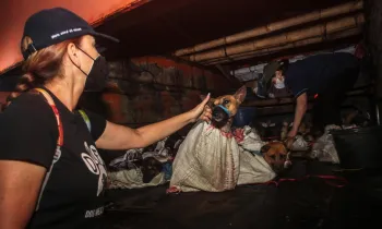 Woman comforting dog in back of truck