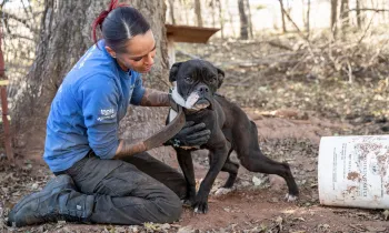 Animal Rescue Team in Oklahoma