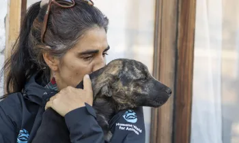 Hurricane Joaquin disaster relief