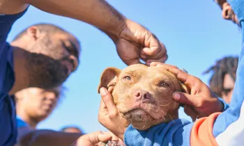 South Africa Healthy Pets Healthy Community Clinic 2025