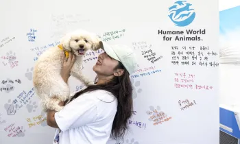 Woman holding a dog in front of a board with handwritten notes.