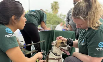Humane Journeys staff visit Animal Brigade, a mock mobile clinic in Aguascalientes, and a partner shelter in Holbox to plan for the 2026 Humane Journeys donor trip.