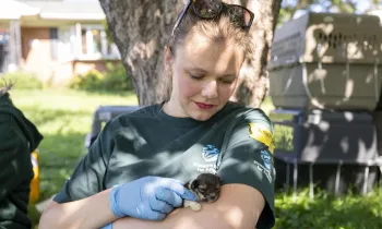 an animal rescue responder holding a small puppy