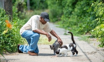 Laward Ellison petting two community cats 