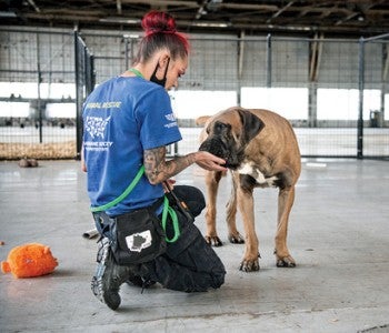 Rescuer Justine Hill and Mir at the temporary shelter.