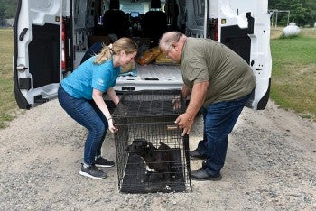 Two people load a dog into the Pets for Life van