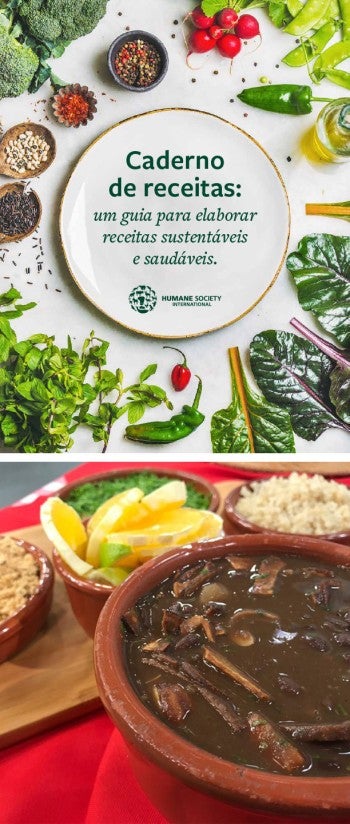 Cover of an HSI recipe book and a photo showing a bowl of feijoada and fixings.