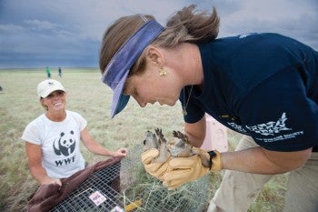 Lindsey Sterling Krank holding a prairie dog.