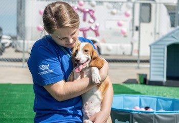 Woman holding beagle