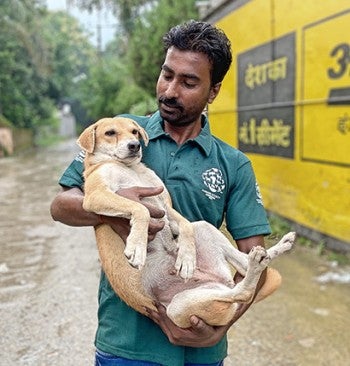 HSI staff member holding Lilly the dog