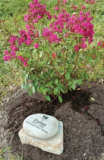 Pet memorial stone