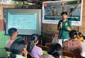 A workshop in session showing how to provide first aid to street dogs.