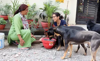 Two women giving water to street dogs in India.