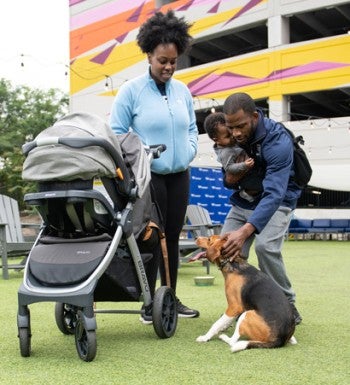 Count Dooku the beagle with his new family.