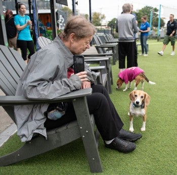 Neely the beagle with owner