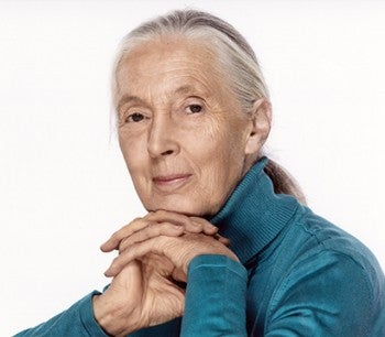 Portrait of Dr. Jane Goodall