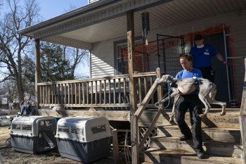 Animal rescue responder carrying dog out of house