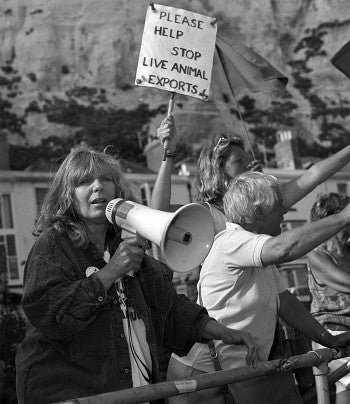 A person protesting live animal exports