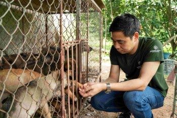 A man greets a dog