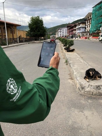 A person holding a phone in front of a dog on the street