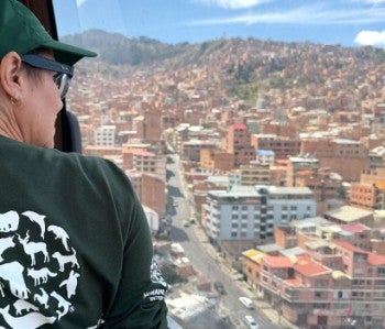 A person wearing glasses, a green hat and a green shirt look out a window over a dense city.