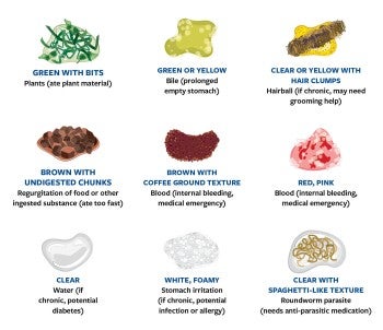 Charting showing the different types of vomit, their color and consistency, and what that means for the health of your cat.