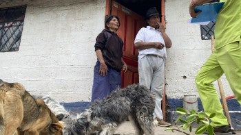 Dogs eating from a bowl