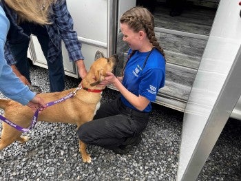 A responder greets and pets a dog