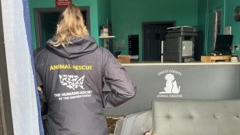 A woman assesses damage at an animal shelter