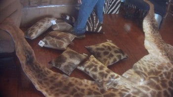 Giraffe-hide covered pillows for sale