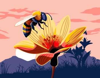 Illustration of a bee on a flower.