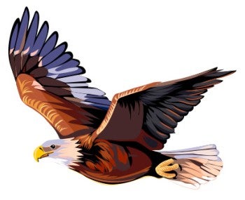 Illustration of an eagle mid-flight.