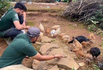 Praveen Suresh and Jaihari AK feed animals after the floods.