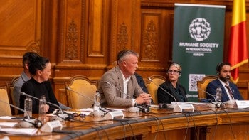 Romanian authorities around a table