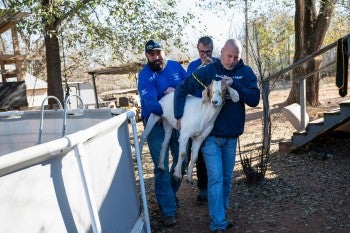 Animal Rescue Team volunteers in Oklahoma