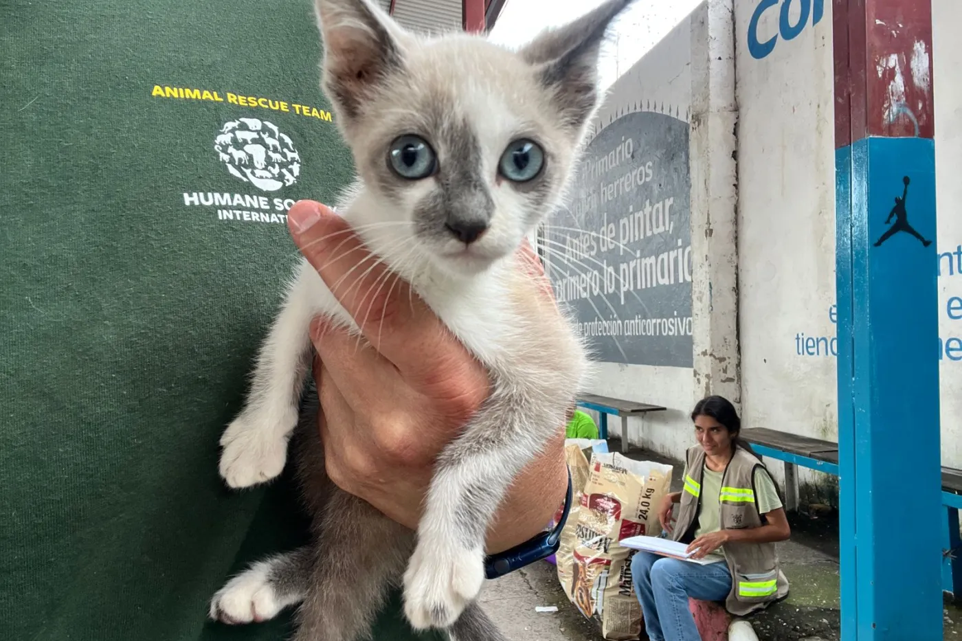 A person holding a cat