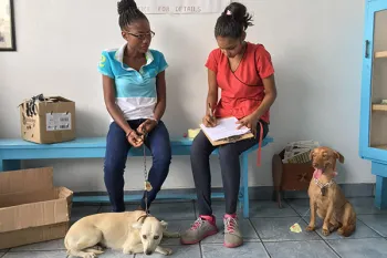 HSI spay/neuter clinic in Guyana