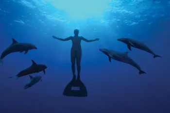 Image from The Cove documentary