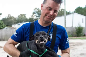 Hurricane Florence rescue dog Dog and rescuer during HSUS efforts following Hurricane Florence in South Carolina