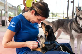 HSUS staff cuddling dogs at Spayathon event