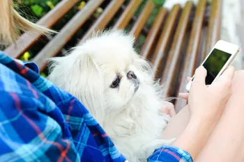 Woman holding dog and cell phone