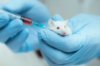 mouse animal research cosmetics testing Mouse being injected
