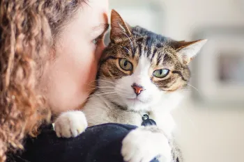 A cat and A woman in a sunny room