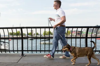 Man walking dog on bridge