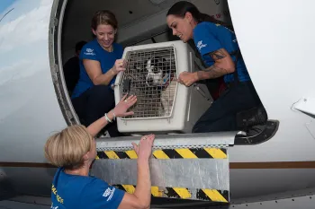 Three peopl helping a dog from a transport plane