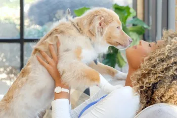 Dog jumping up on a woman's chest with her arms out holding him